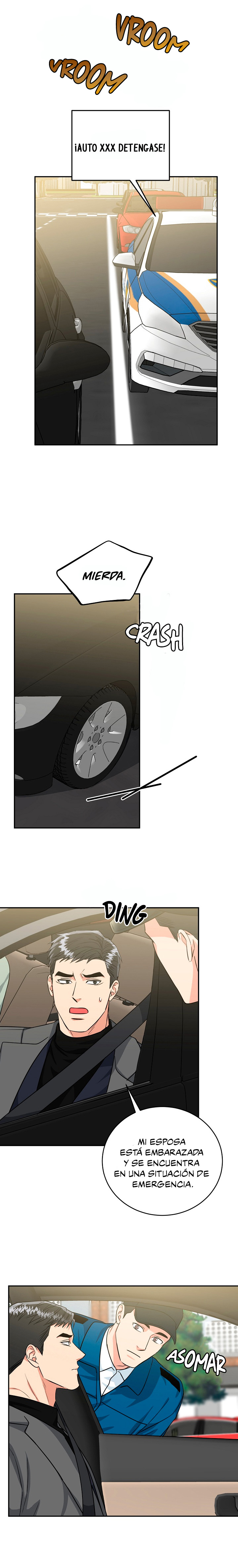 16 La Guarida del Tigre