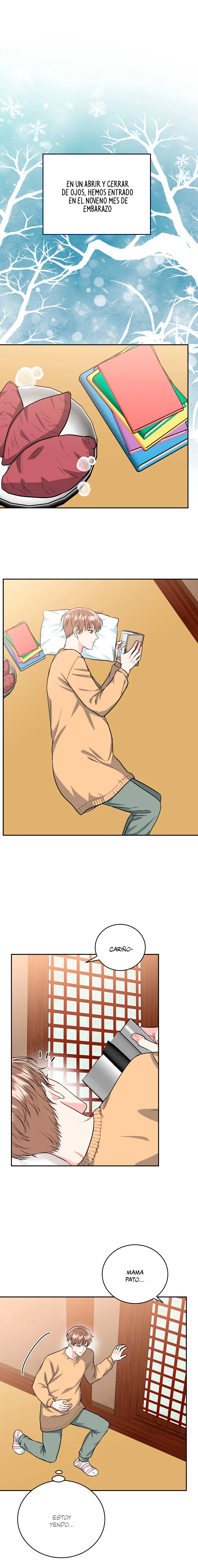 5 La Guarida del Tigre