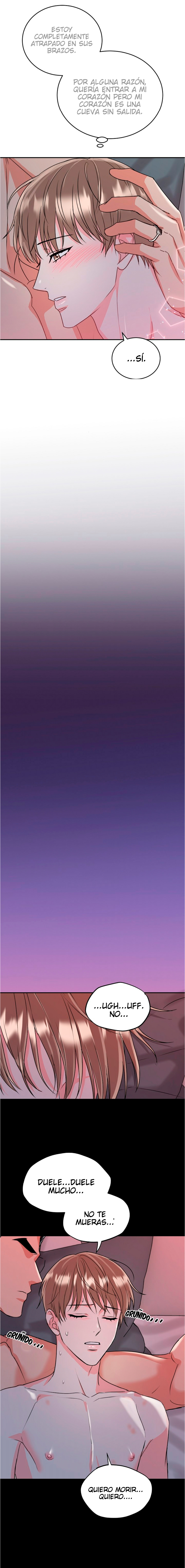 15 La Guarida del Tigre