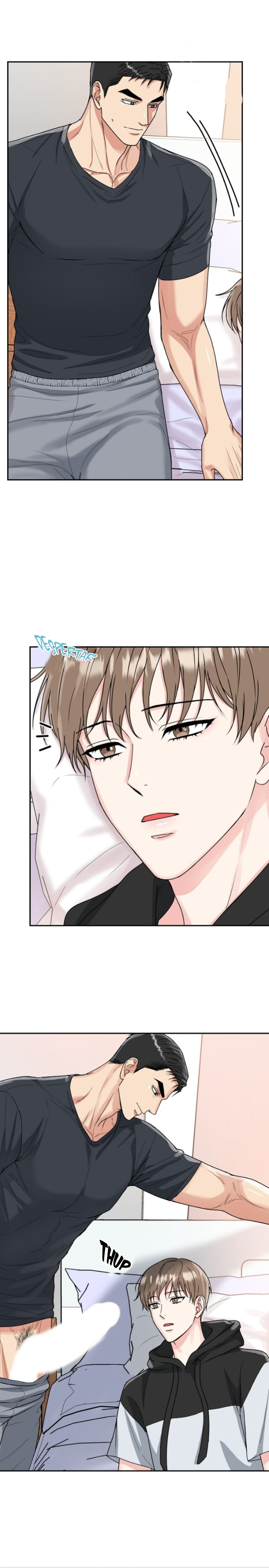 4 La Guarida del Tigre