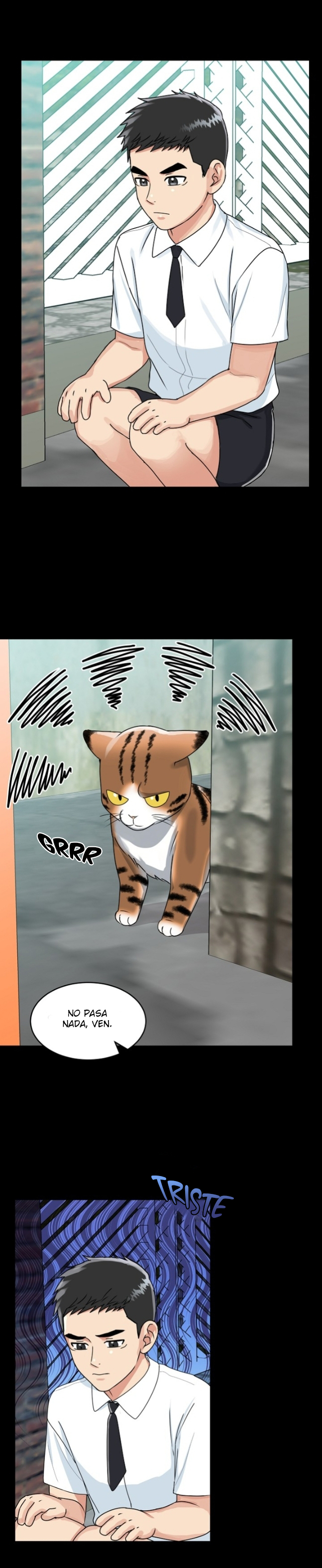 24 La Guarida del Tigre