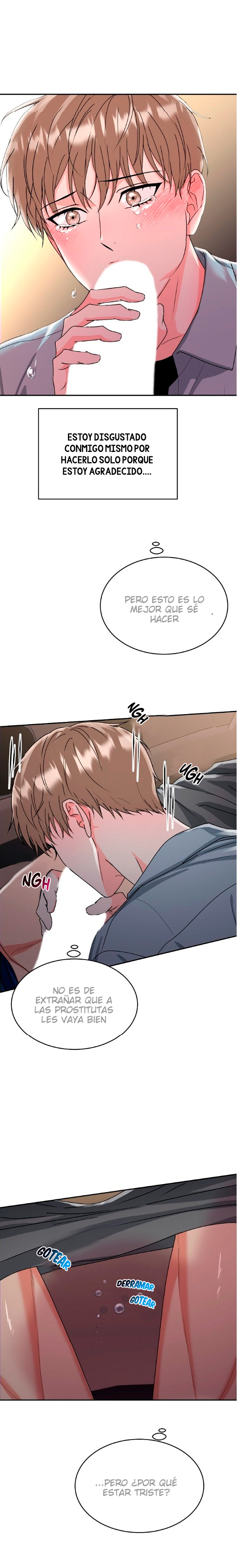 10 La Guarida del Tigre