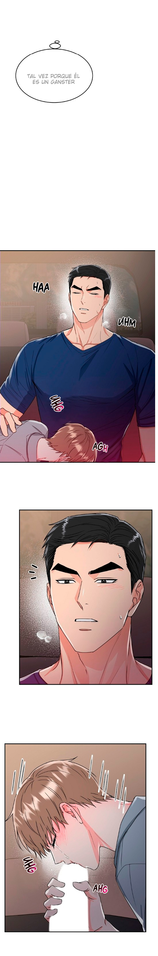 11 La Guarida del Tigre