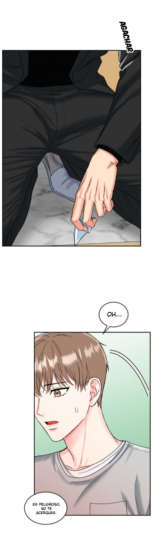 10 La Guarida del Tigre