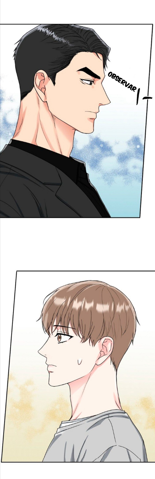 16 La Guarida del Tigre