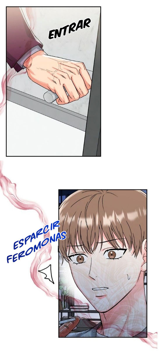 19 La Guarida del Tigre