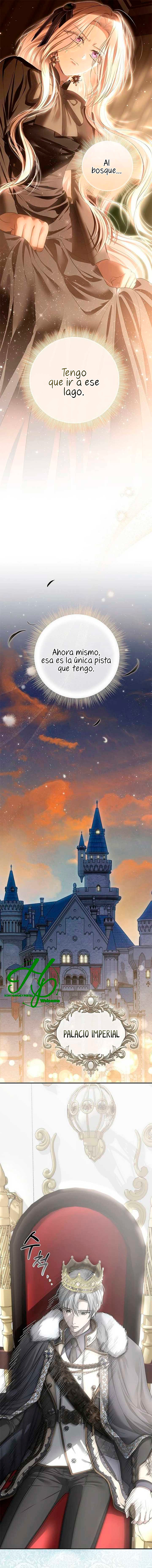 11 Persepe Fuera De La Jaula