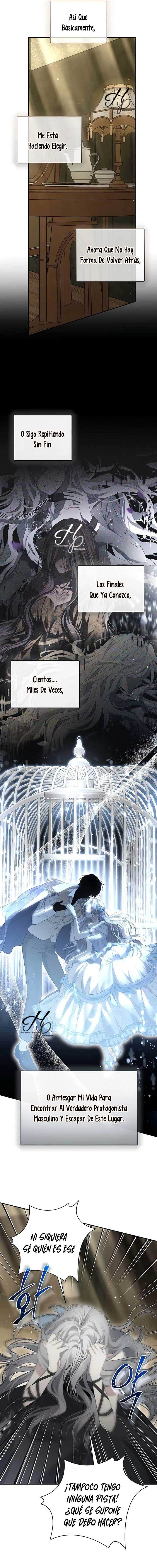 14 Persepe Fuera De La Jaula