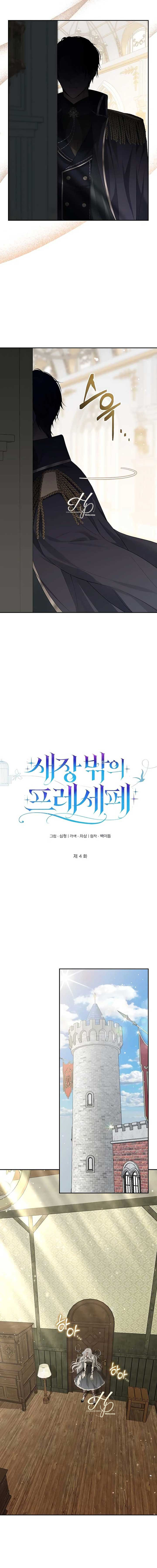 10 Persepe Fuera De La Jaula