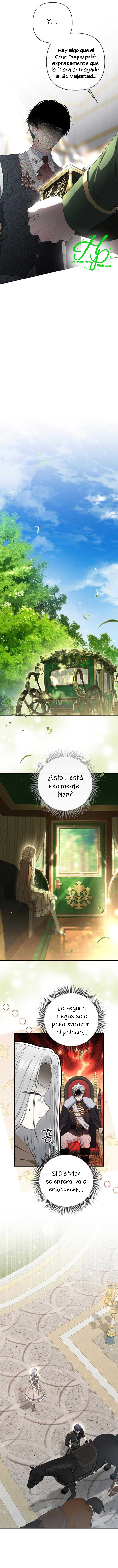 6 Persepe Fuera De La Jaula