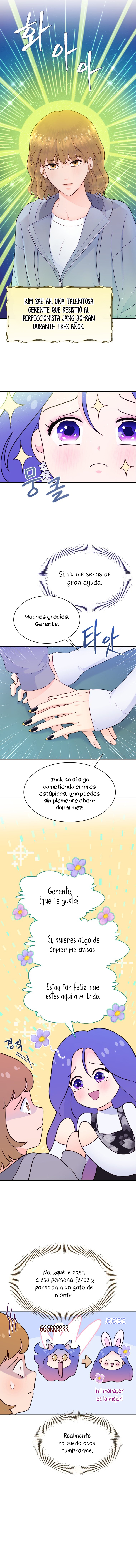 6 Salvando A Mí Favorito Desamparado