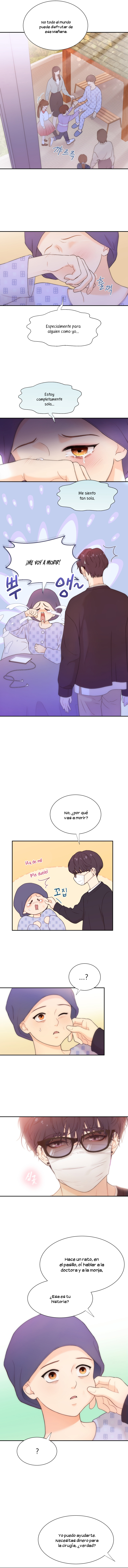 4 Salvando A Mí Favorito Desamparado