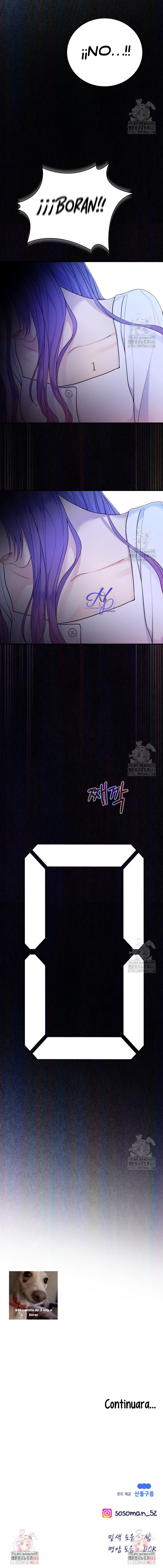 13 Salvando A Mí Favorito Desamparado