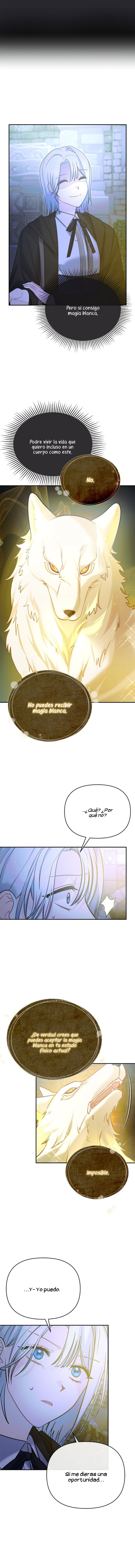 7 No,¡Encante Solamente A La Princesa!