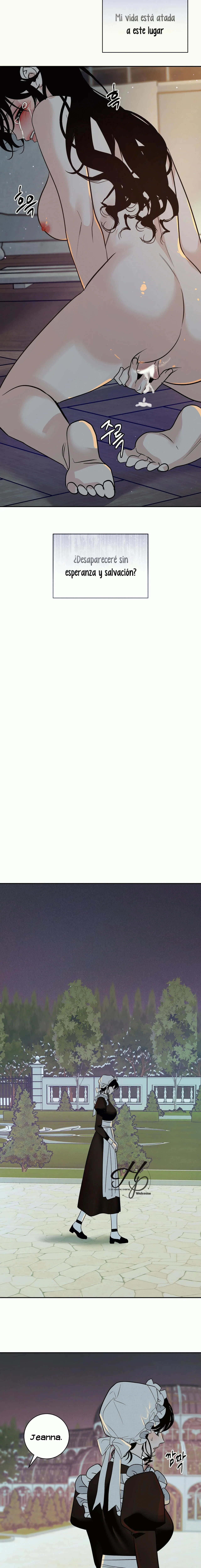 8 Naranja Dañada (+18) (Finalizado)