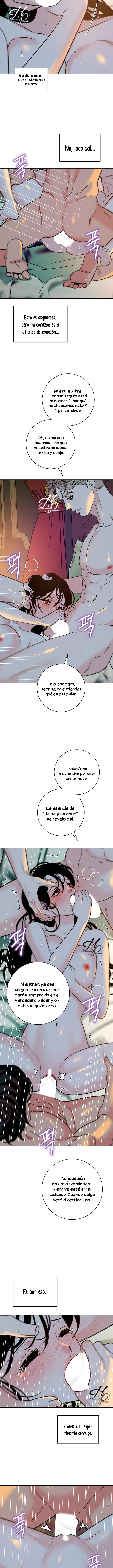 4 Naranja Dañada (+18) (Finalizado)