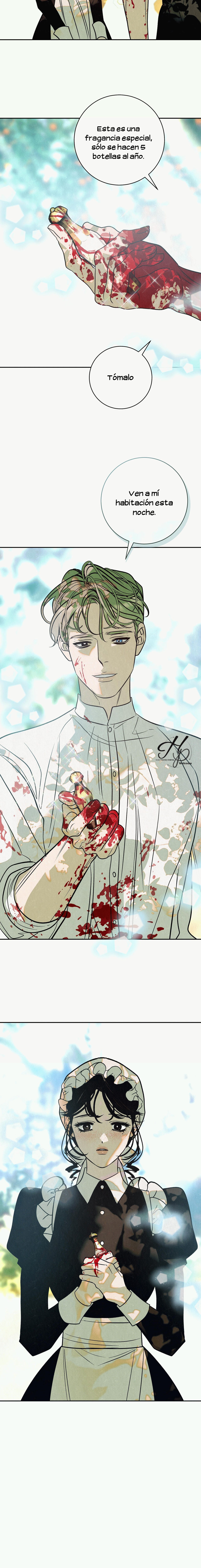 15 Naranja Dañada (+18) (Finalizado)