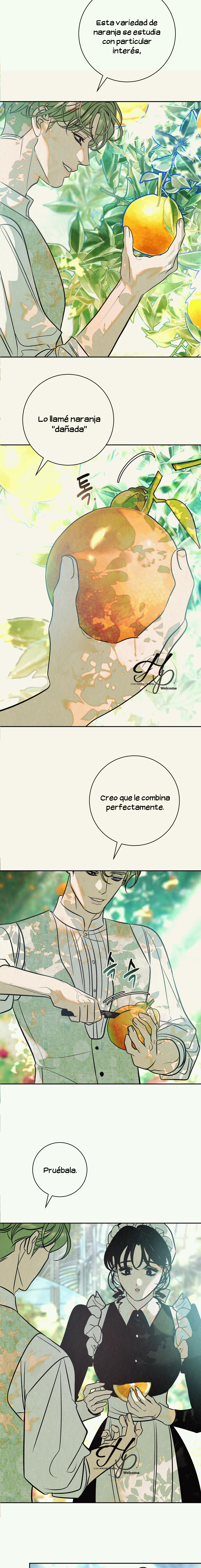 9 Naranja Dañada (+18) (Finalizado)