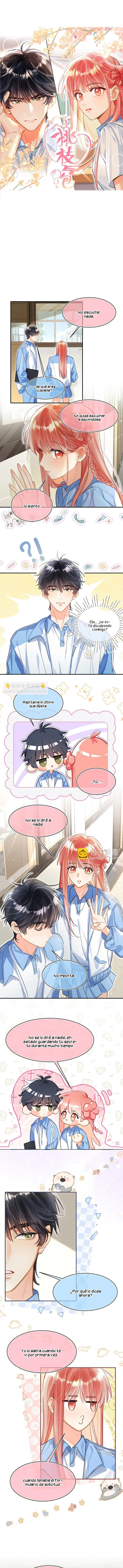 0 Burbujas De Rama De Melocotón (Hiatus Indefinido)