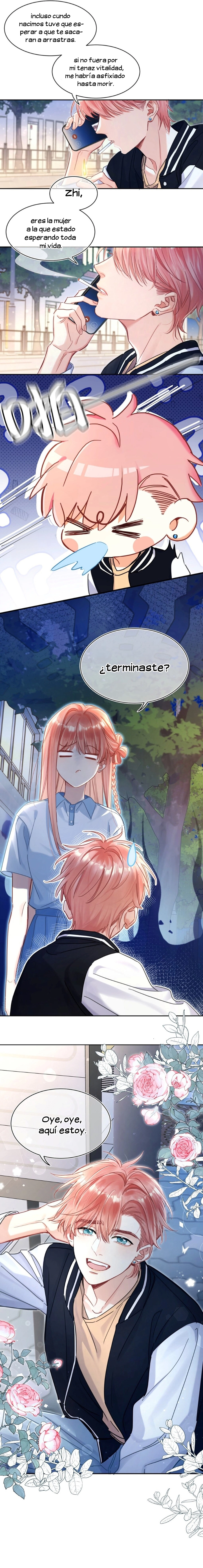 4 Burbujas De Rama De Melocotón (Hiatus Indefinido)