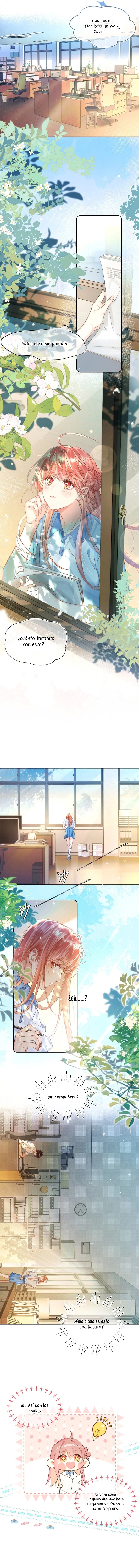 4 Burbujas De Rama De Melocotón (Hiatus Indefinido)