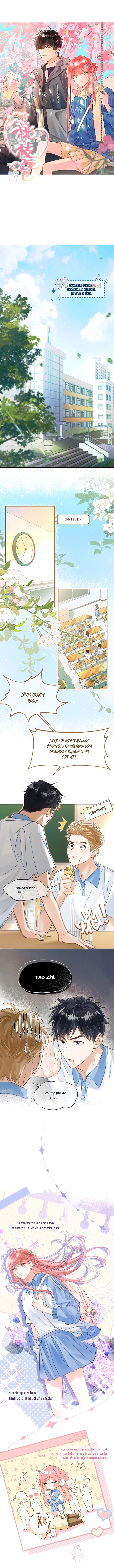 0 Burbujas De Rama De Melocotón (Hiatus Indefinido)