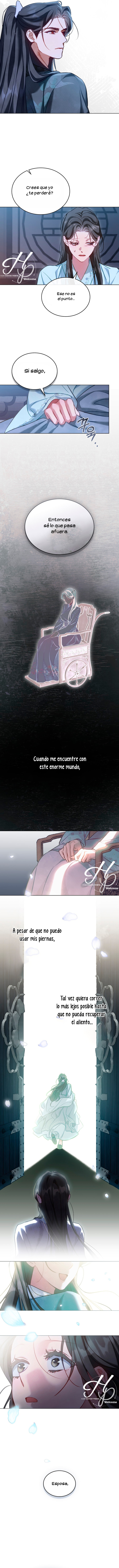 2 Paseo Nocturno (+18)