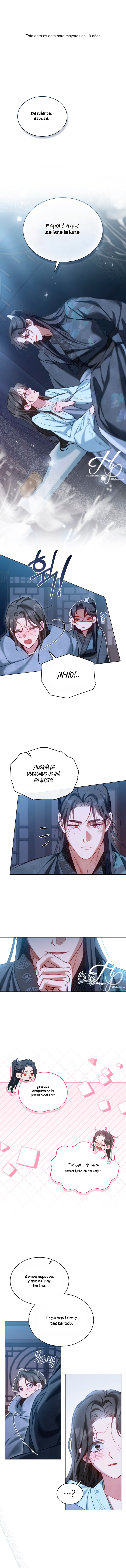 0 Paseo Nocturno (+18)