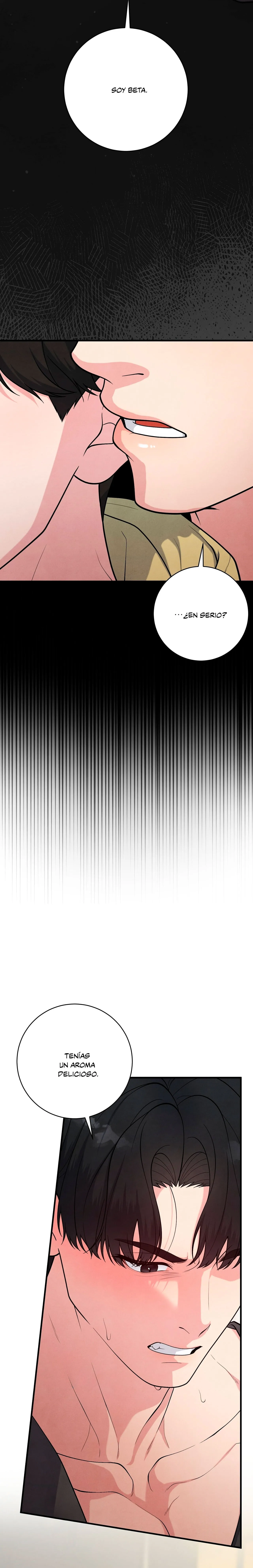 33 Un sabor conocido