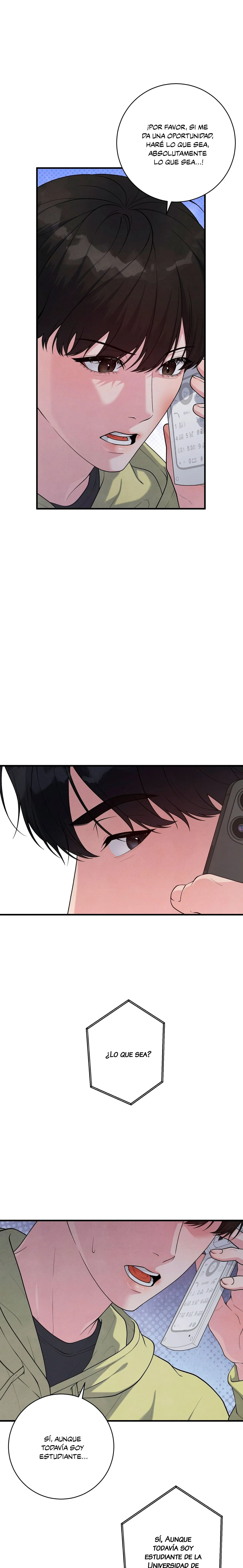 12 Un sabor conocido