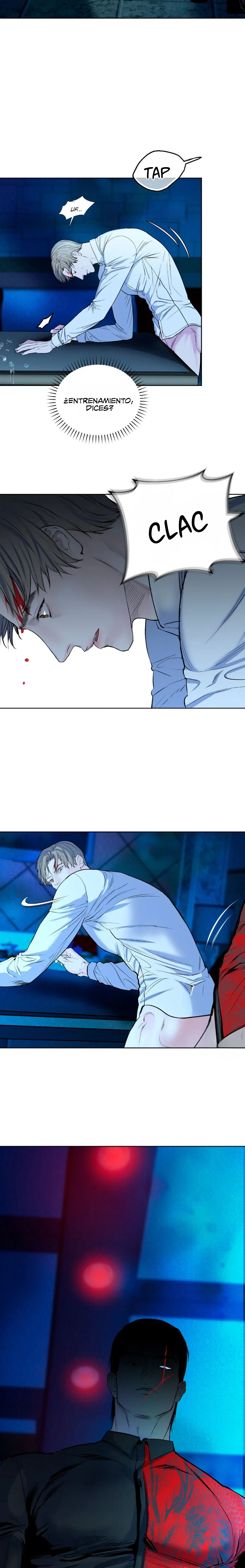 12 Hasta la basura brilló al principio