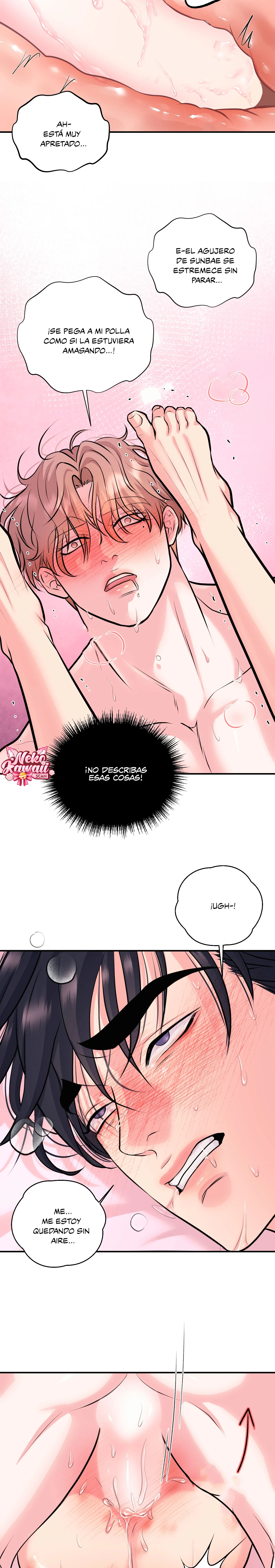 19 Se respeta tu gusto