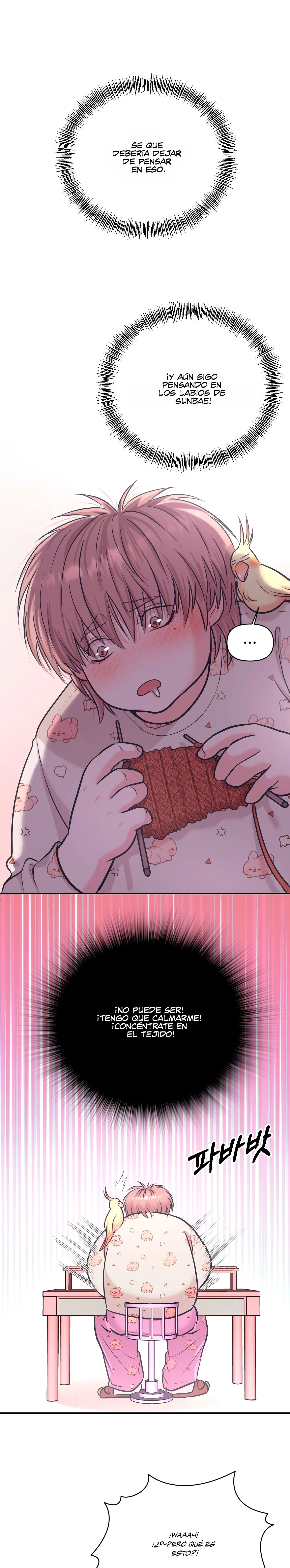 5 Se respeta tu gusto