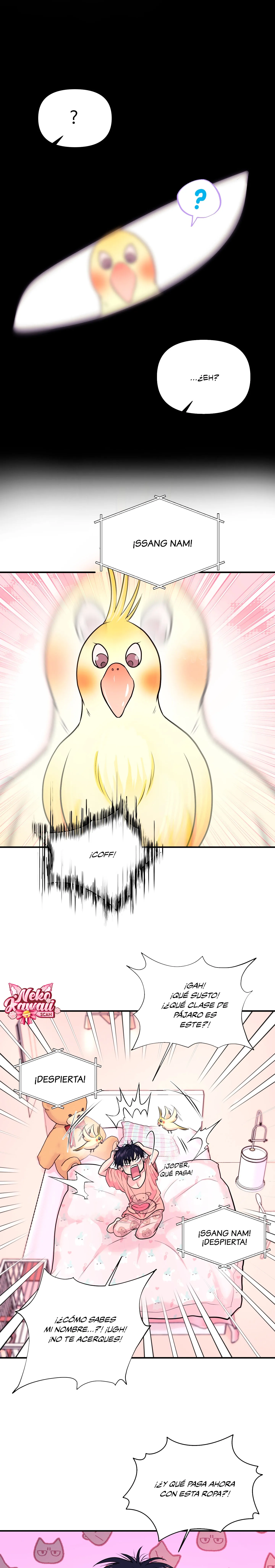 5 Se respeta tu gusto