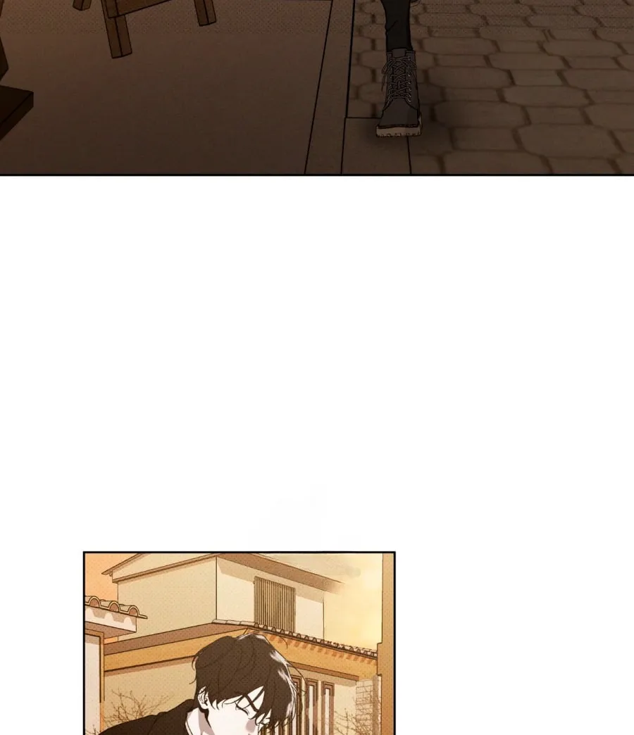 19 Evolución de las especies