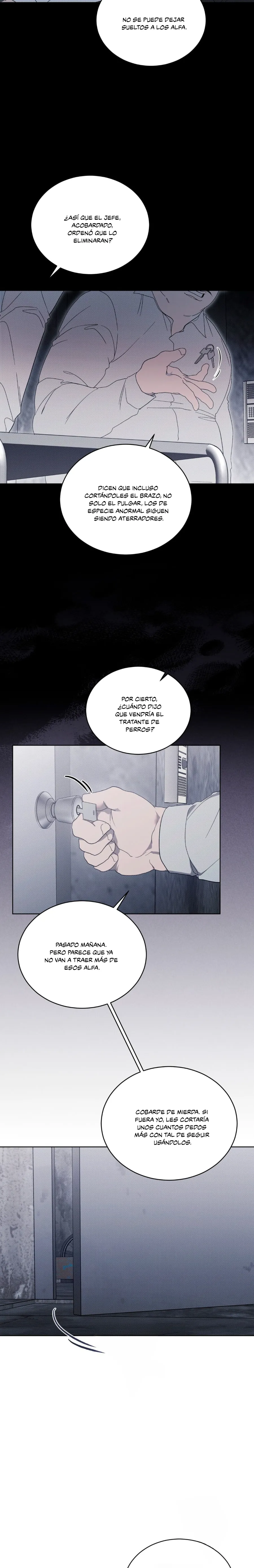 4 Evolución de las especies