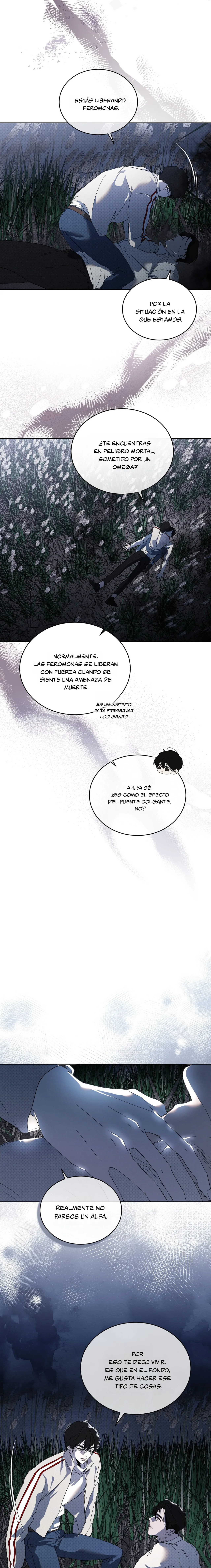 17 Evolución de las especies