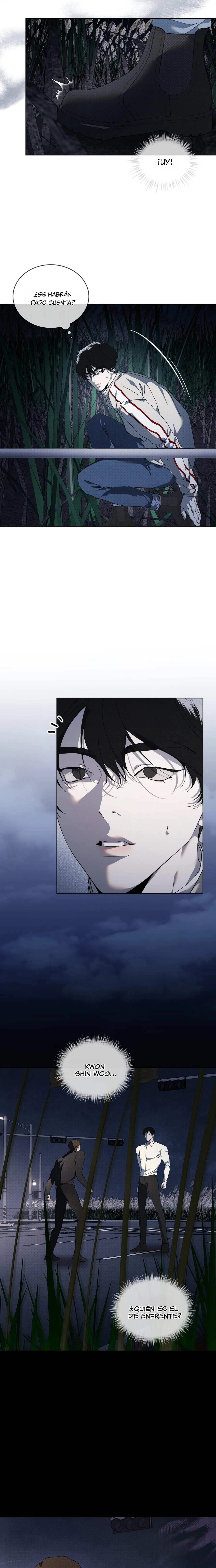 5 Evolución de las especies