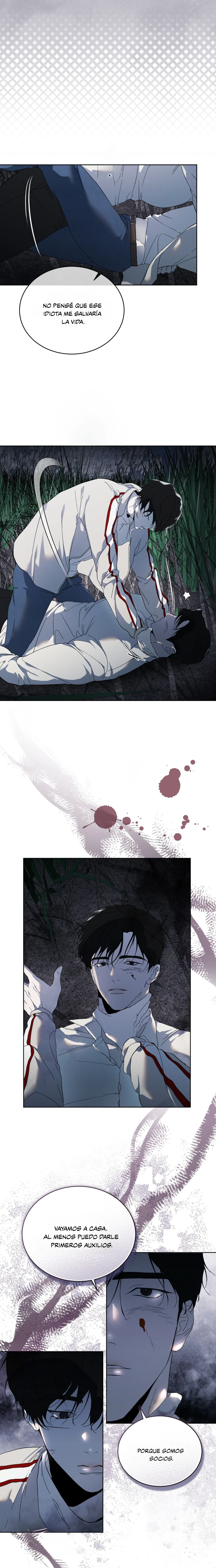 16 Evolución de las especies