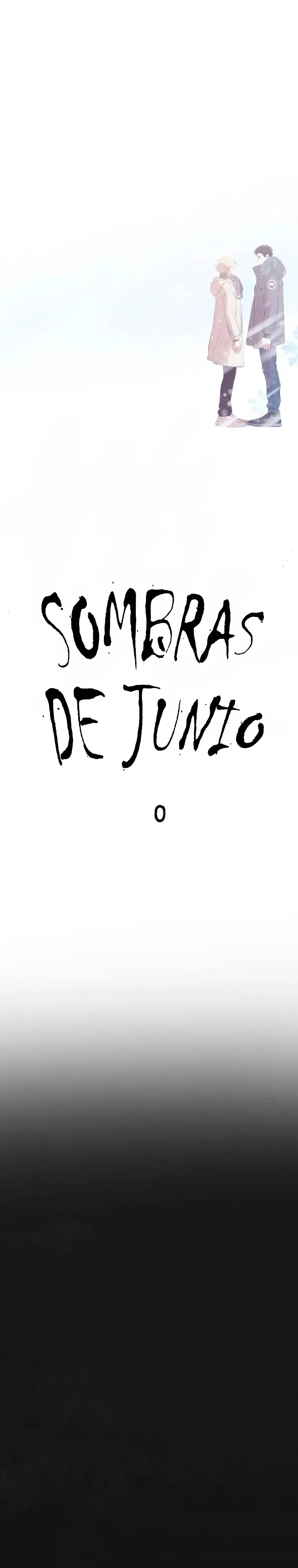 9 Sombras de junio