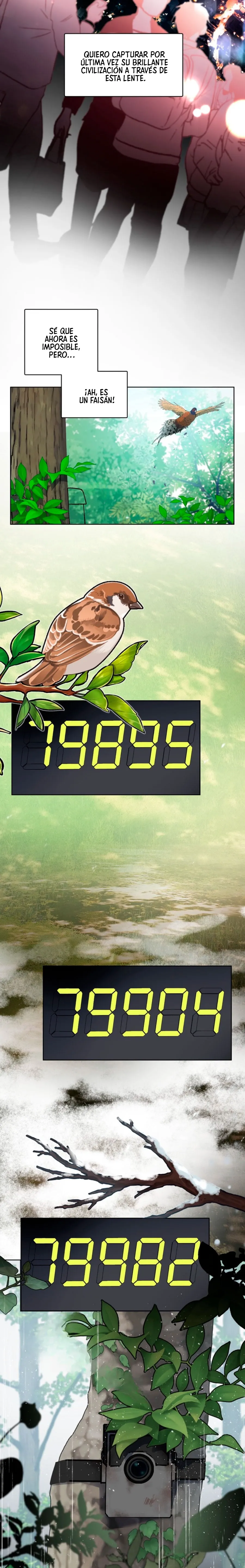 10 Habitaciones sin ventanas