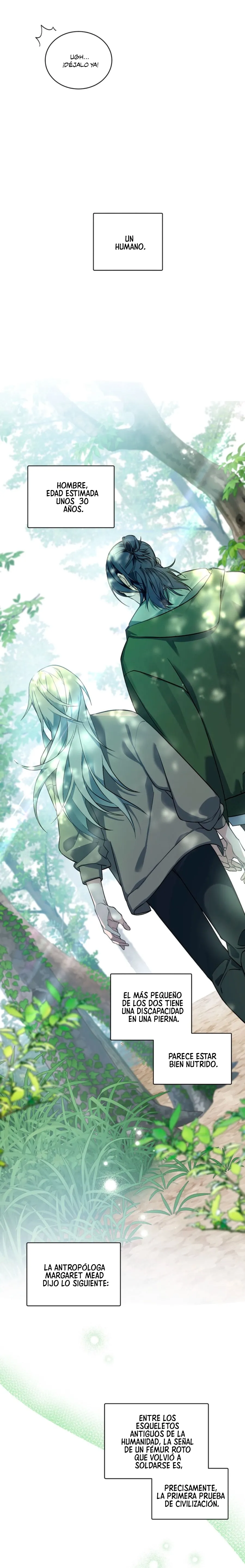 12 Habitaciones sin ventanas