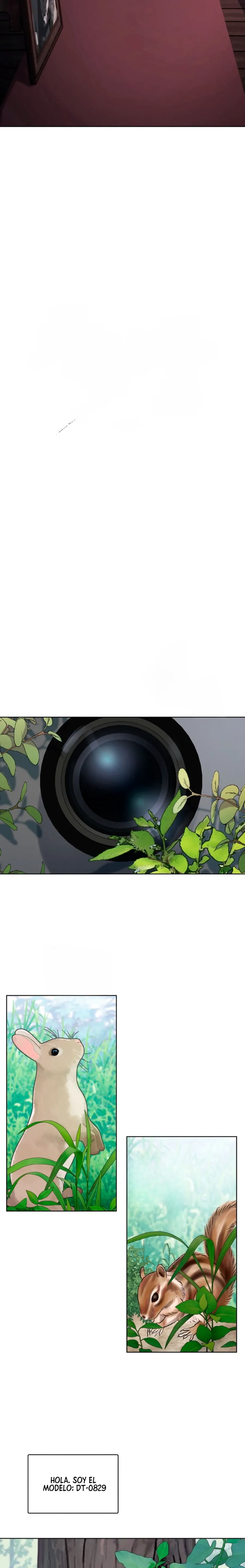 7 Habitaciones sin ventanas