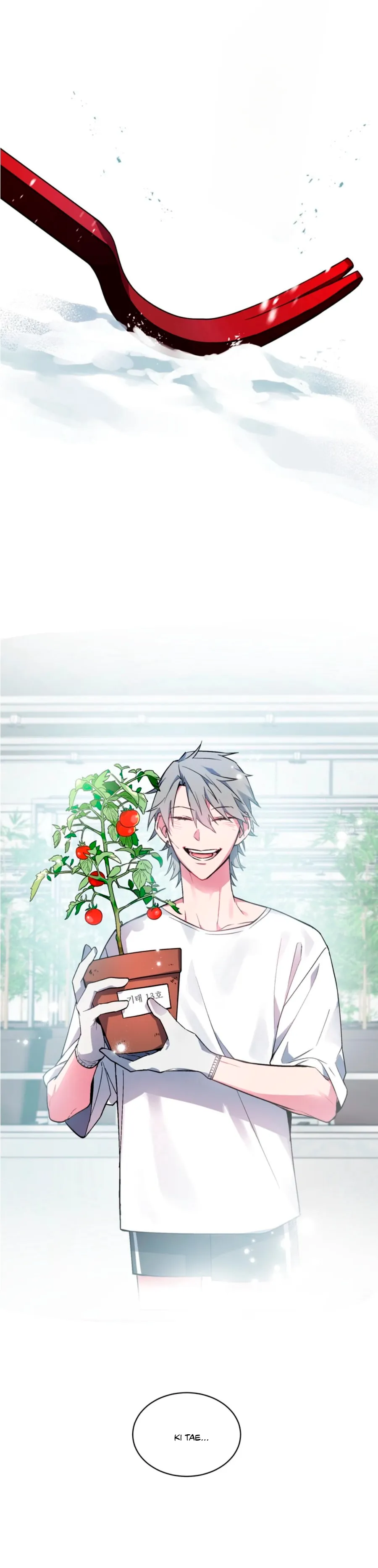 21 Habitaciones sin ventanas