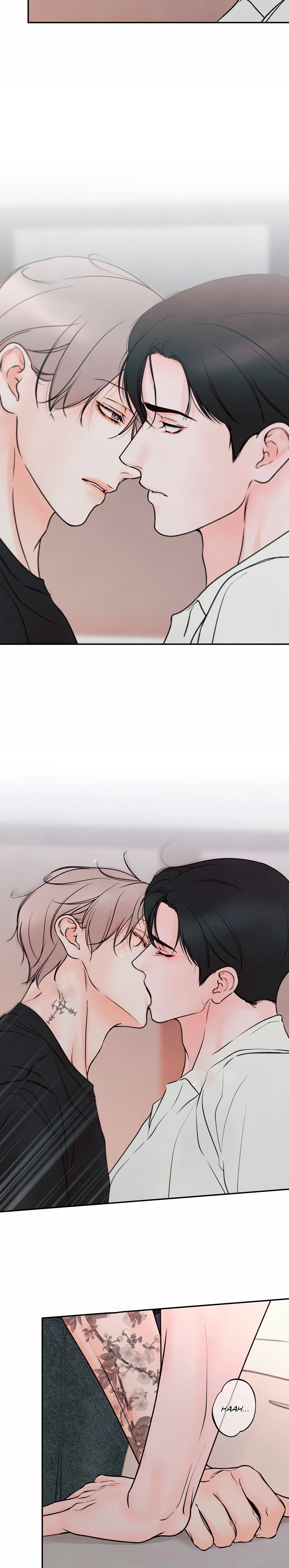 26 El limite del engaño