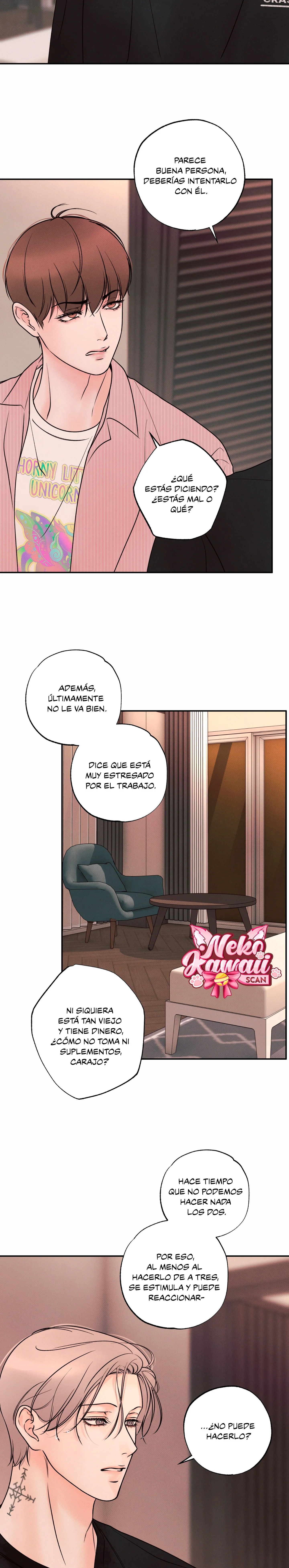 17 El limite del engaño