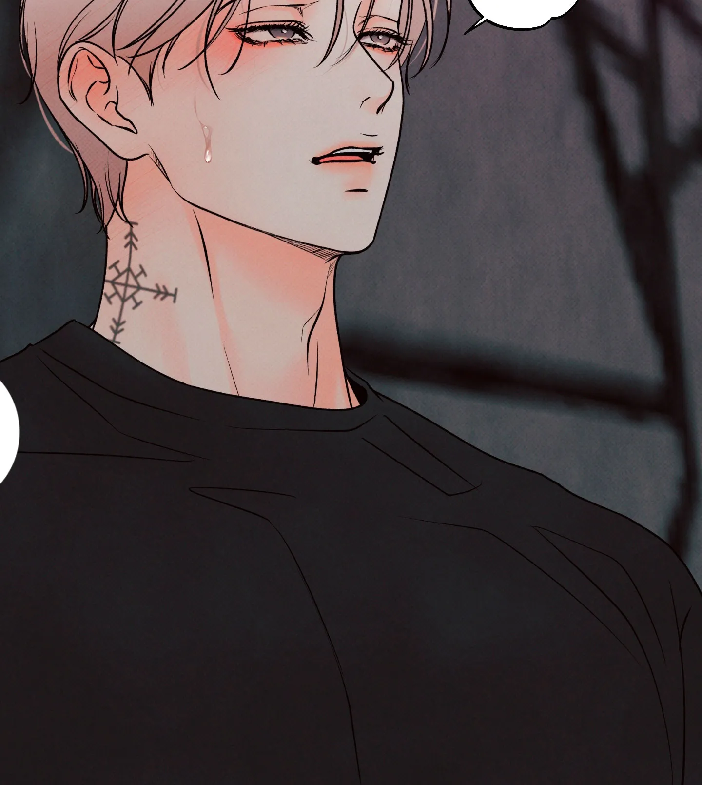 12 El limite del engaño