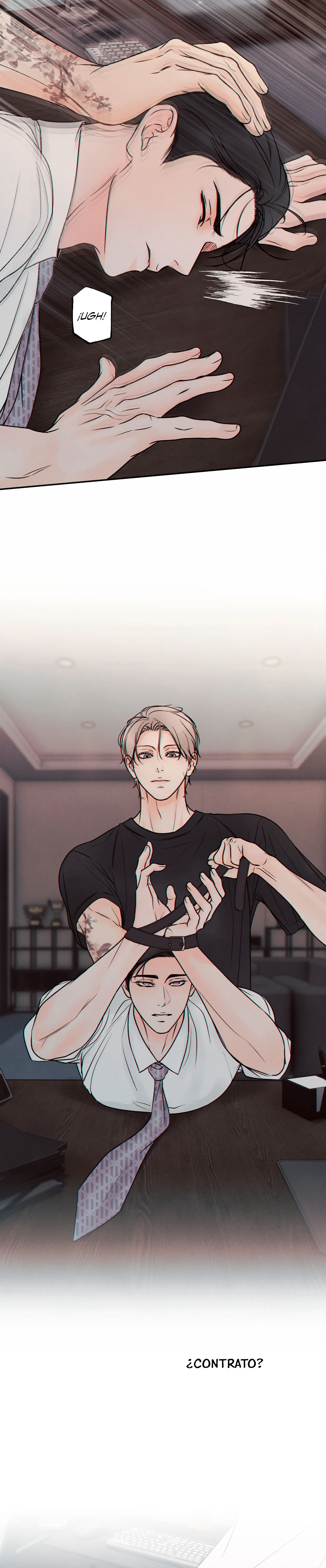 11 El limite del engaño