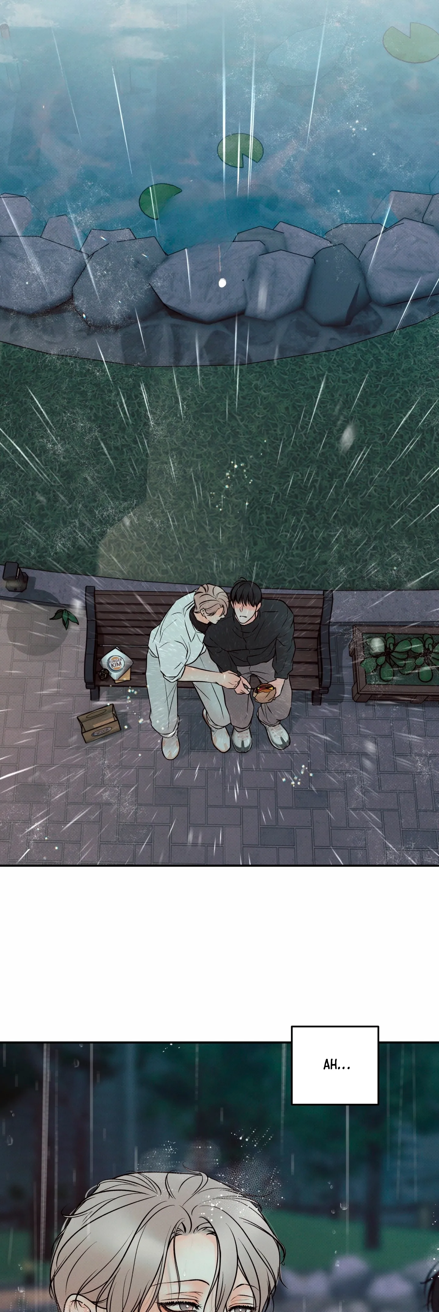 31 El limite del engaño