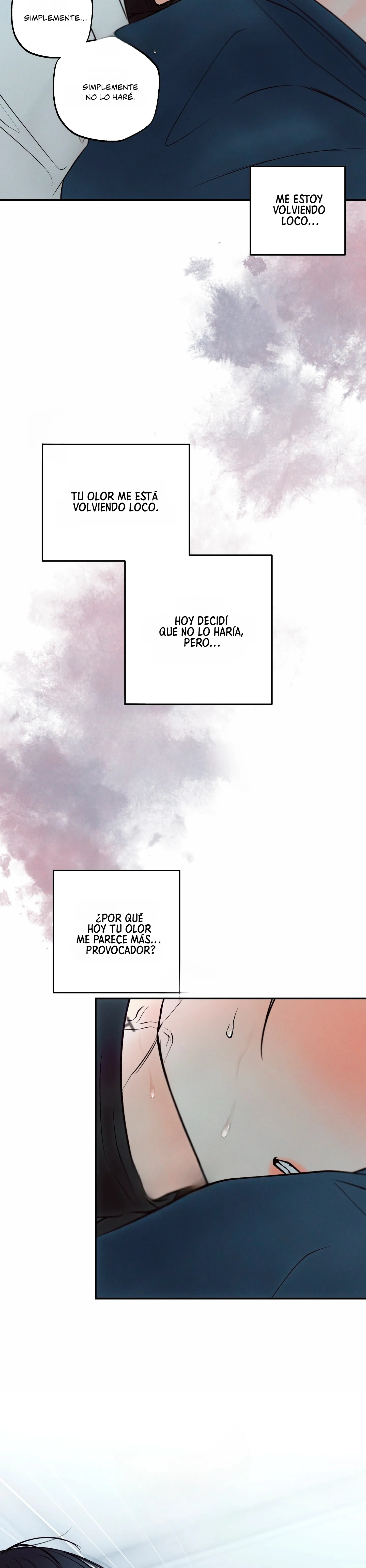 15 El limite del engaño